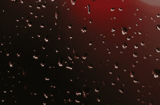 谷雨前面是什么节气 谷雨前面的节气是清明