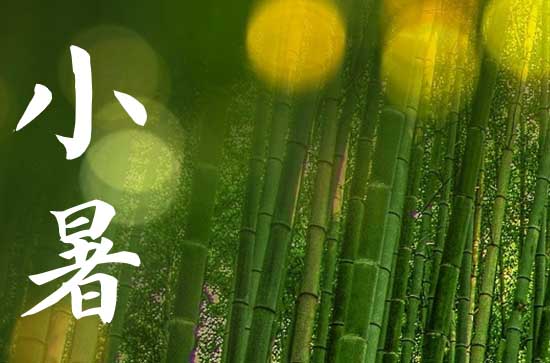 2024年小暑几月几日 2024年7月6日小暑这天宜买衣服吗