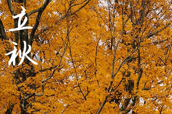 2024年立秋是哪一天 2024年立秋弄开造陵墓可以吗