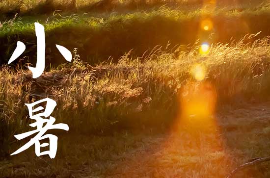 2024小暑是农历哪一天 2024年小暑弄安床好吗