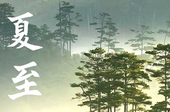 夏至适合泡什么茶饮 夏至运动注意事项