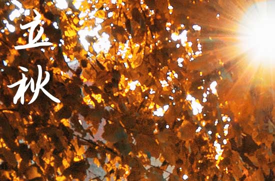 立秋是2024的几月几日 2024立秋是黄道吉日吗