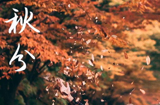 2024年秋分是具体哪一天 2024年秋分弄做寿好不好