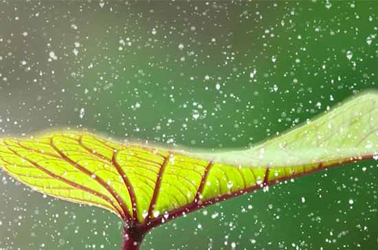 延边今日天气小雨 2024年5月27日延边天气预报