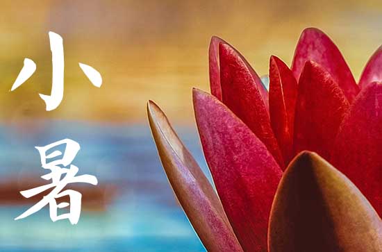 2024年小暑几月几日 2024年小暑脱丧服合适吗