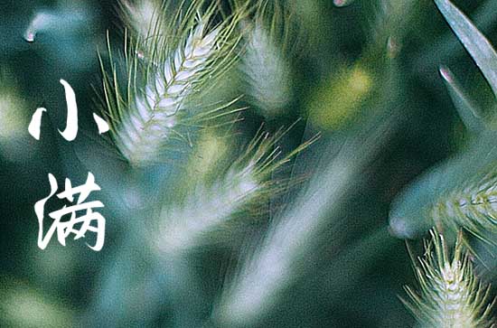 小满节气的风俗食物 小满风俗吃什么