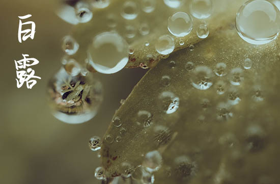 白露是2024的几月几日 2024年9月7日白露这天作灶好吗