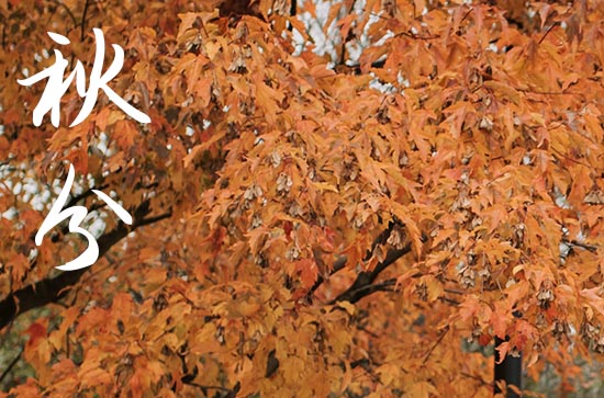 2024年有关秋分时节祝福句子