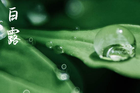 2024白露是哪一天 2024年9月7日白露这天宜安机械吗