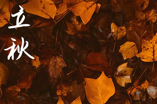 2024立秋是哪一天 2024年立秋剖腹产可以吗 2024立秋是哪一天 2024年立秋剖腹产可以吗