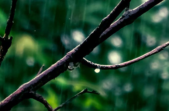 11月6日怒江会下雨 今日小雨温度21℃~16℃