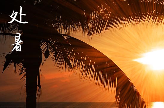 2024处暑是哪天 2024年处暑适合画画吗 2024处暑是哪天 2024年处暑适合画画吗