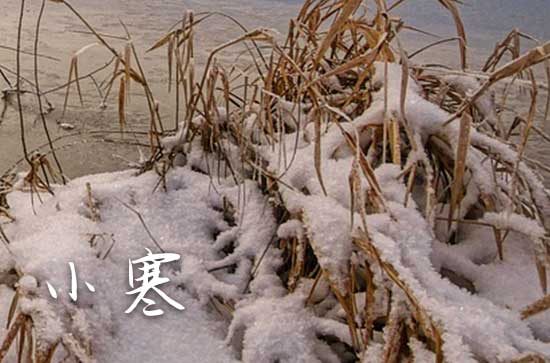 今日小寒，2024小寒节气是几月几日
