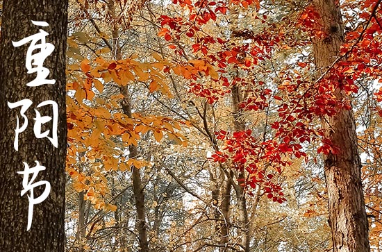 重阳节唯美高级的祝福语
