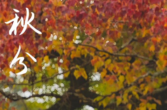 2024年秋分是什么时候 2024年秋分这天日子怎样