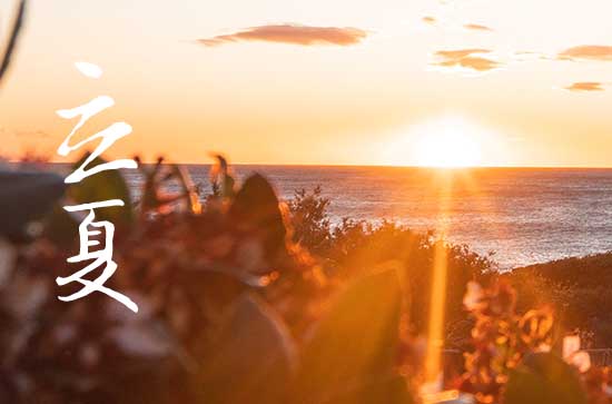 2024年立夏是星期几 2024年立夏这天日子怎样 2024年立夏是星期几 2024年立夏这天日子怎样