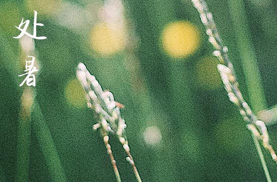 2024处暑是农历哪一天 2024处暑是黄道吉日吗