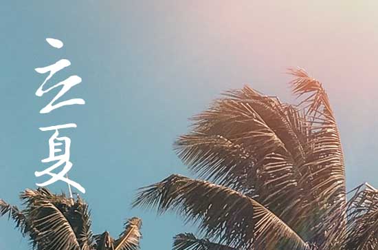 2023年立夏是几月几日 2023年立夏节气有什么气候特点