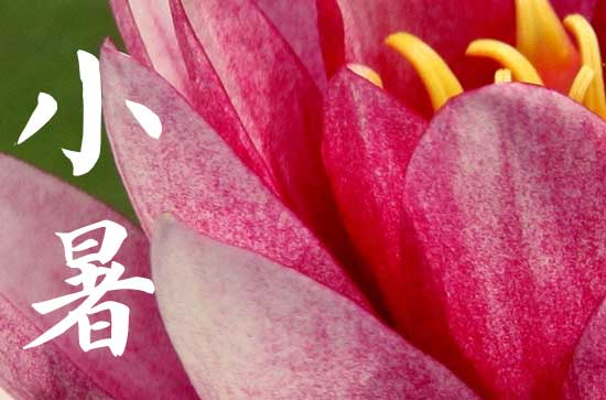 2024年小暑是入伏了吗 小暑第9天开始入伏
