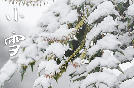 2023年小雪是几月几日 2023年小雪能结婚领证吗