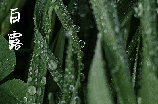 2024年白露是具体哪一天 2024白露坏垣好吗