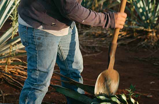 劳动最光荣的优美句子（精选90句）