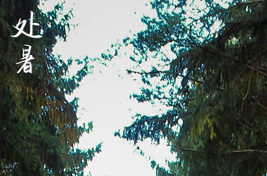 处暑是2024的几月几日 2024处暑当天可以认养吗