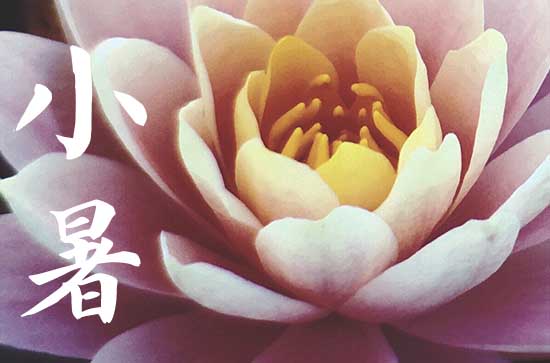 小暑和大暑节气的区别 大暑注意事项