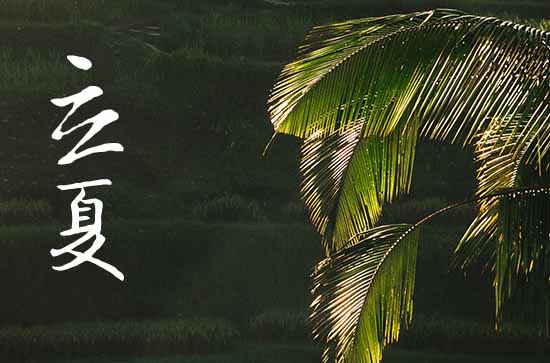 2024年立夏时间是什么时候 2024年立夏沐浴吉利吗 2024年立夏时间是什么时候 2024年立夏沐浴吉利吗