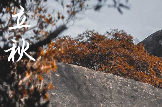 2023年立秋的时间是几点几分,今年立秋是8月8号几点具体时间