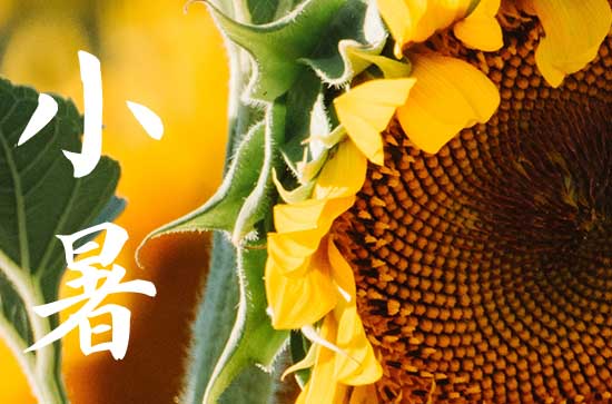 小暑是几月几号2024年 2024年小暑是买家具的好日子吗