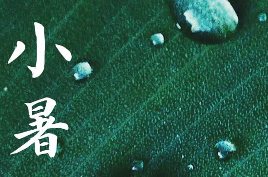 小暑的美好寓意和象征