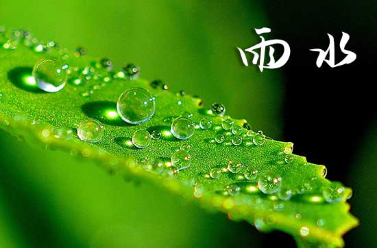 2024雨水节气是几月几日 雨水节气的温度是多少