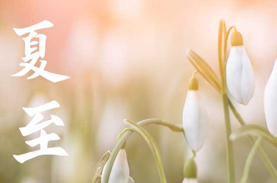 大豆为什么要夏至前播种   夏至种植大豆的方法