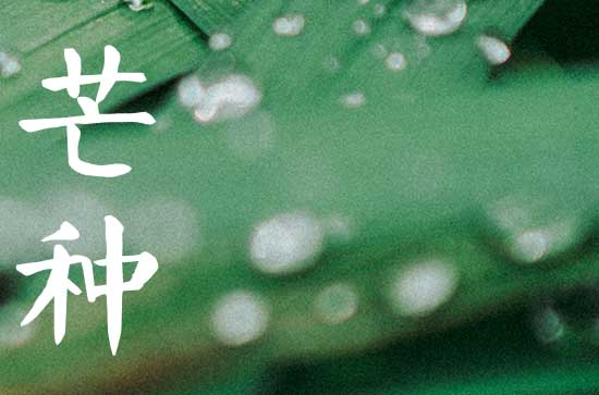 芒种出生的女孩取名推荐 芒种出生女孩取名灵动好名字