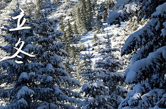 2024年今年立冬是几月几号 2024年立冬弄拆迁适合吗