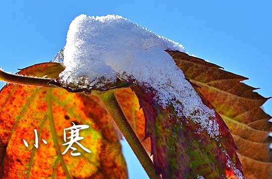 小寒养生祝福短信大全（精选60句）