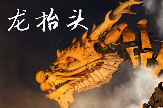 2025年今年龙抬头是几月几号 2025年龙抬头是种盆栽的好日子吗