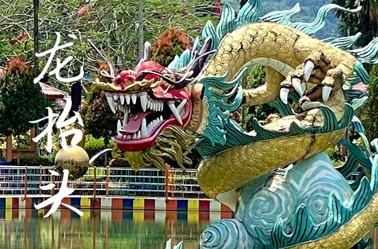 龙抬头在什么时候2025年 2025年3月1日龙抬头厨房移位适合吗