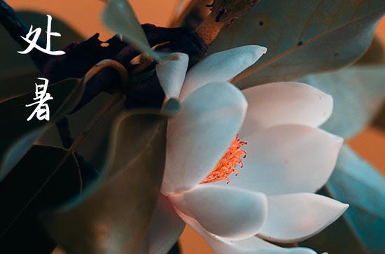 2024年处暑时间是什么时候 2024年处暑是入棺的好日子吗