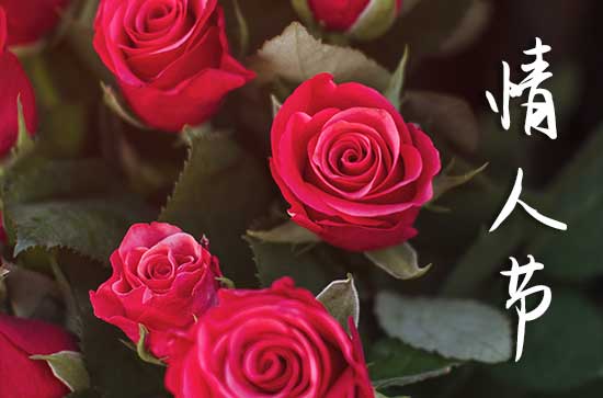 2025年520情人节能登记结婚证吗 2025520情人节那天登记结婚证好不好