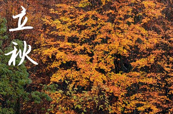 2024年立秋是多少号 2024年8月7日立秋是建造寺庙的黄道吉日吗