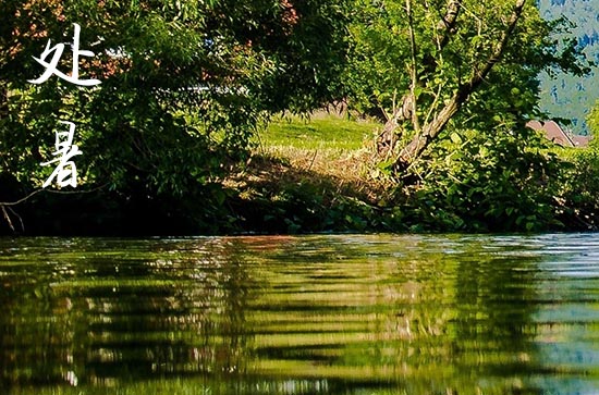 2024年今年处暑是几月几号 2024年处暑可以求婚吗 2024年今年处暑是几月几号 2024年处暑可以求婚吗