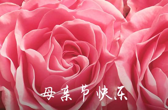 简单暖心的母亲节祝福语 母亲节送什么鲜花
