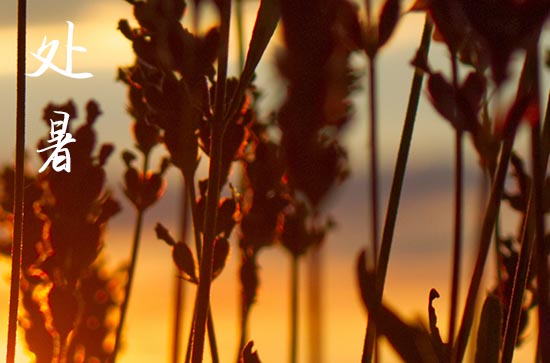 2024年处暑是几月几日 2024年处暑可以房子修补吗