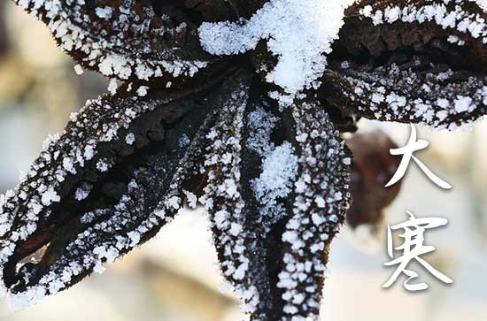 今日大寒，2024年大寒是几月几日几点钟