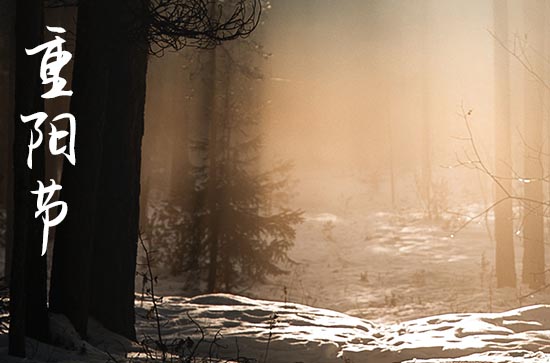 重阳节敬老祝福语文案 重阳节敬老祝福语文案
