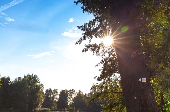 9月8日资阳会下雨 今日晴转阵雨温度33℃~24℃ 9月8日资阳会下雨 今日晴转阵雨温度33℃~24℃