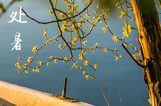 2024年什么时候处暑 2024处暑那天灌溉好不好