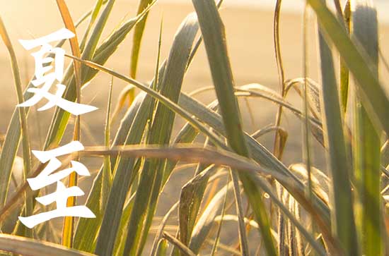 夏至节气该如何防暑养生 夏至节气该如何防暑养生